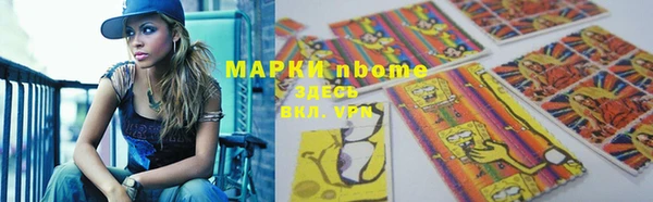 стаф Вяземский